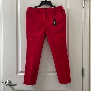 Express dress pants